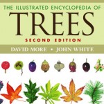 The Illustrated Encyclopedia of Trees