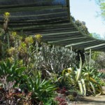 “Hooray for Shade!”