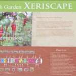 Monmouth Streetscape