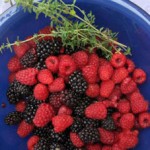 Recognizing Ripeness