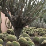 Lotusland Auction & Sale