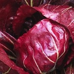 Ornamental, Edible Gardens at Lynmar Estate Winery