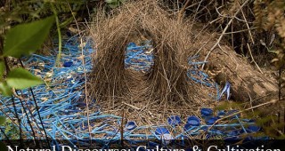 Natural Discourse: Culture & Cultivation