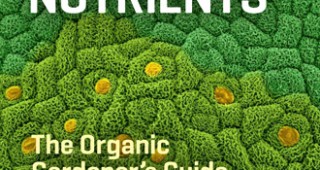 Teeming with Nutrients: The Organic Gardener’s Guide to Optimizing Plant Nutrition