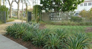 A New Kind of Garden Party