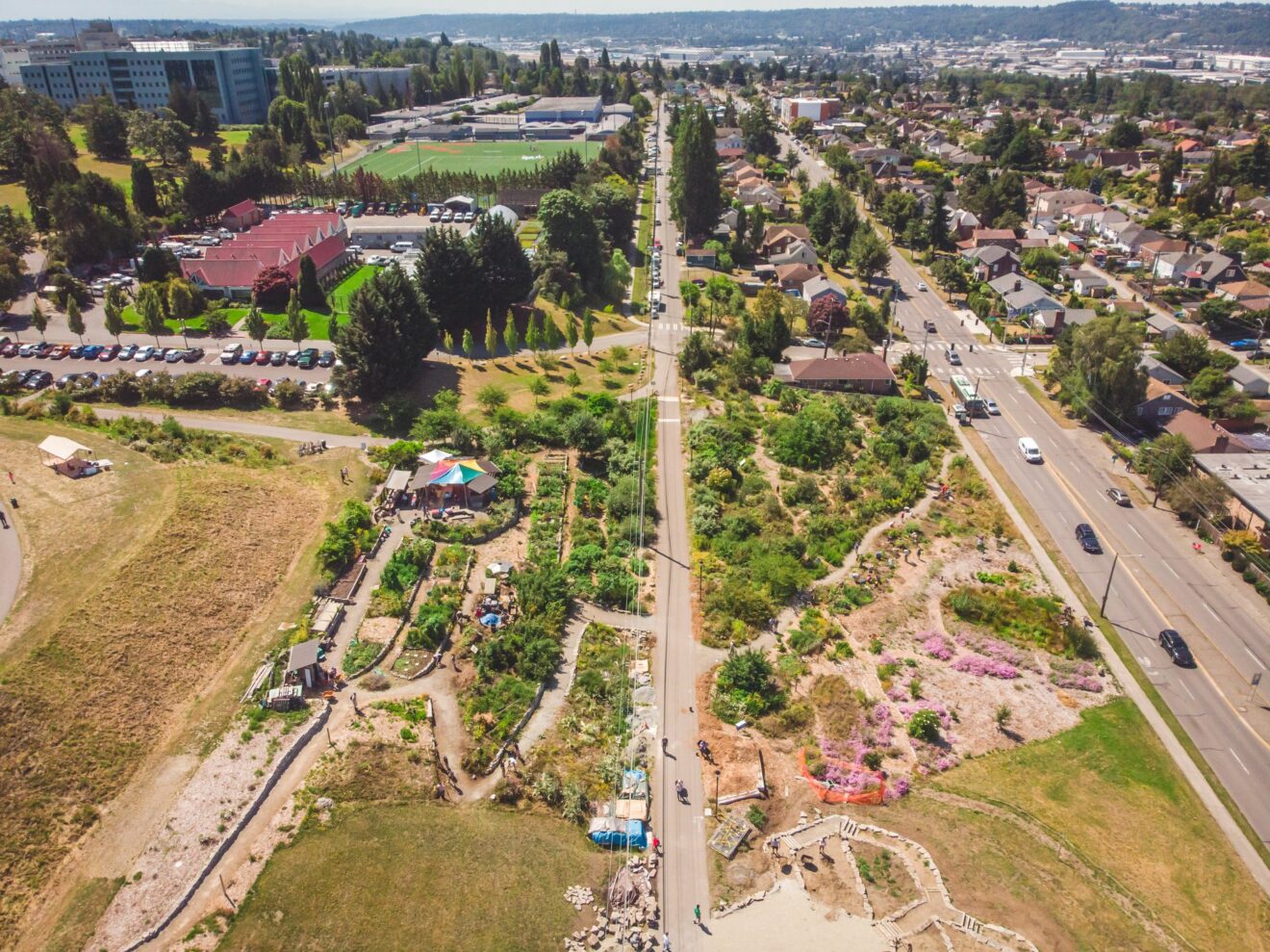 Pacific Horticulture At 10, Seattle’s Pioneering Food Forest Pivots