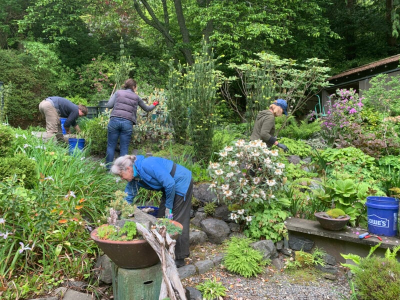 Outdoor Garden