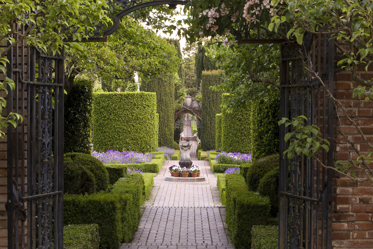 Framing a Framed View - Photobotanic