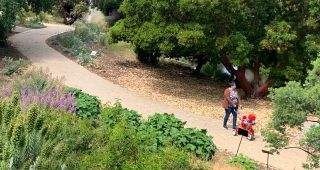 Gardens are Essential—Especially During a Pandemic