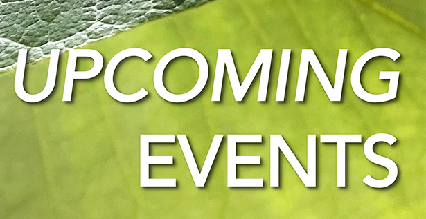 SummerDry Webinar Ticket