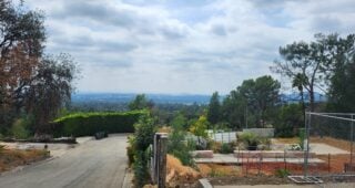 Reader’s Feedback: Hedges: Essential Design Tool or Fire Trap?