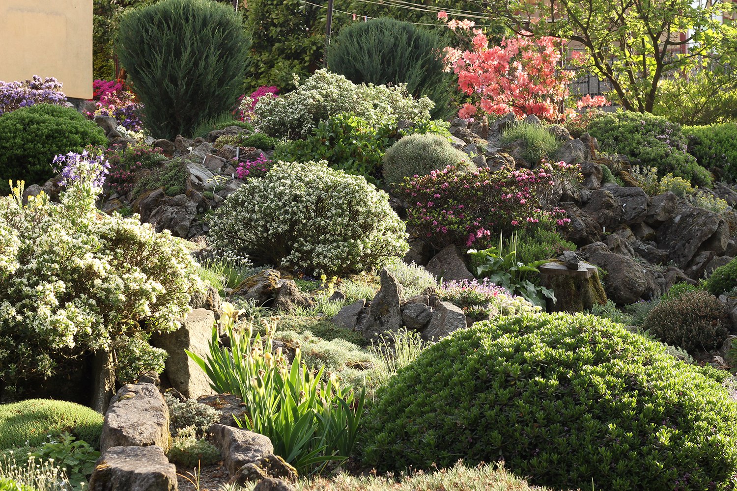 Miniature gardens - Alpine Garden Society