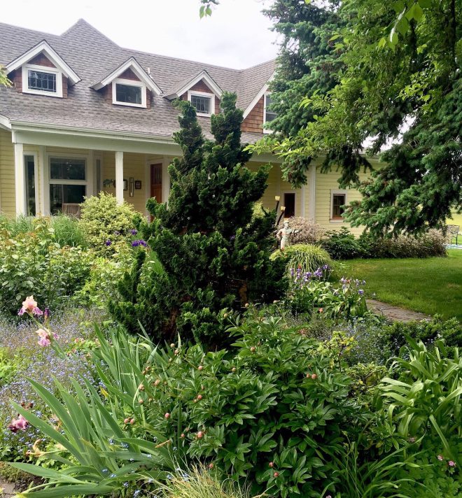 Pacific Horticulture Low Maintenance Gardens Better for Pollinators