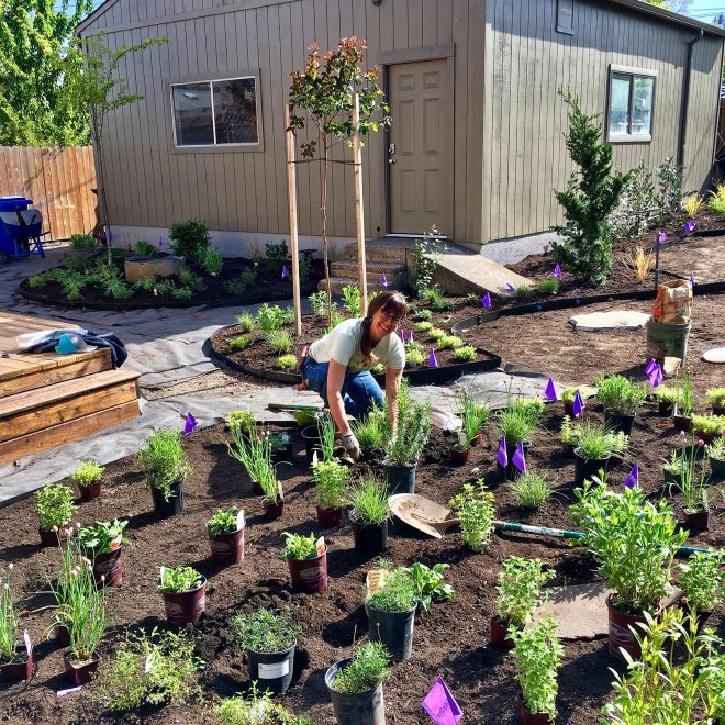 Pacific Horticulture Low Maintenance Gardens Better for Pollinators