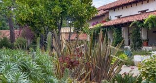 Camera Phones are Cameras: Photo Assignment: Carmel Mission, Part 1