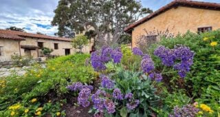 Camera Phones are Cameras: Photo Assignment: Carmel Mission, Part 2