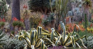 Camera Phones are Cameras: Using the Cropping Tool