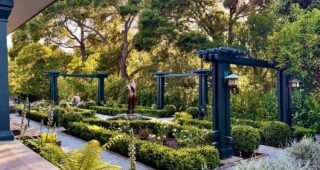 Camera Phones are Cameras: Find the Light