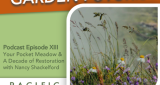 Episode XIII:   Your Pocket Meadow &  A Decade of Restoration