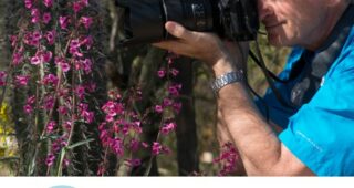Episode XXVI: What a Bee Knows and Why it Matters with Stephen Buchmann
