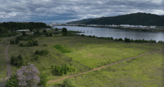 Portland Botanical Gardens: Part 2