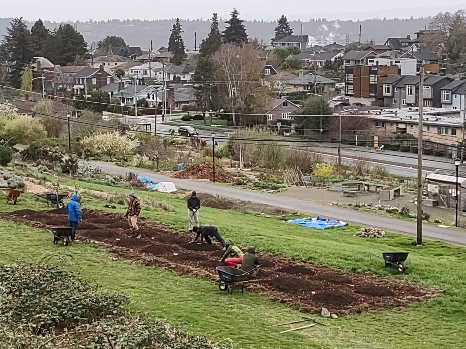 Pacific Horticulture At 10, Seattle’s Pioneering Food Forest Pivots