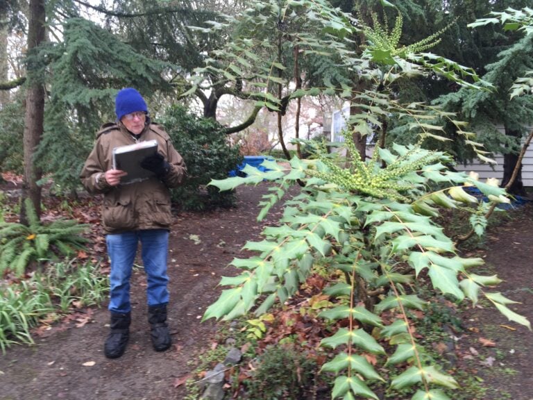 Lab Report: Climate Change in the Garden