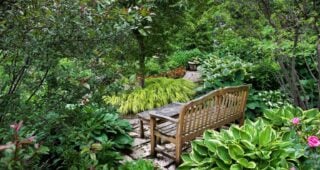 Camera Phones are Cameras: Look Both Ways