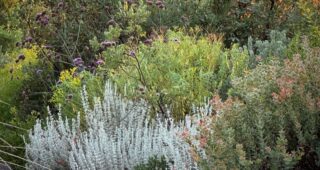 Portland Botanical Gardens: Part 1