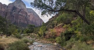 Watershed Moments: Moving the Needle with Rain Gardens & Water Harvesting