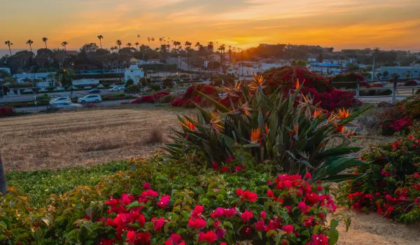 SanDiego2027_1