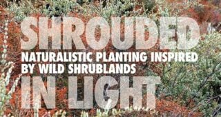 Book Review: Shrouded in Light: Naturalistic Planting Inspired by Wild Shrublands