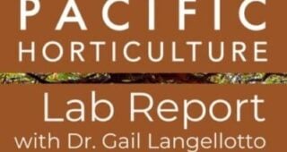 Lab Report: Meet the Garden Ecology Lab