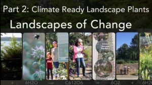 Landscapes of Change: Climate Ready Landscape Plants – Part 2